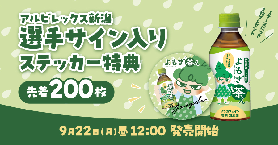 【アルビレックス新潟選手サイン入り】よもぎ茶んステッカー先着200枚限定プレゼント!